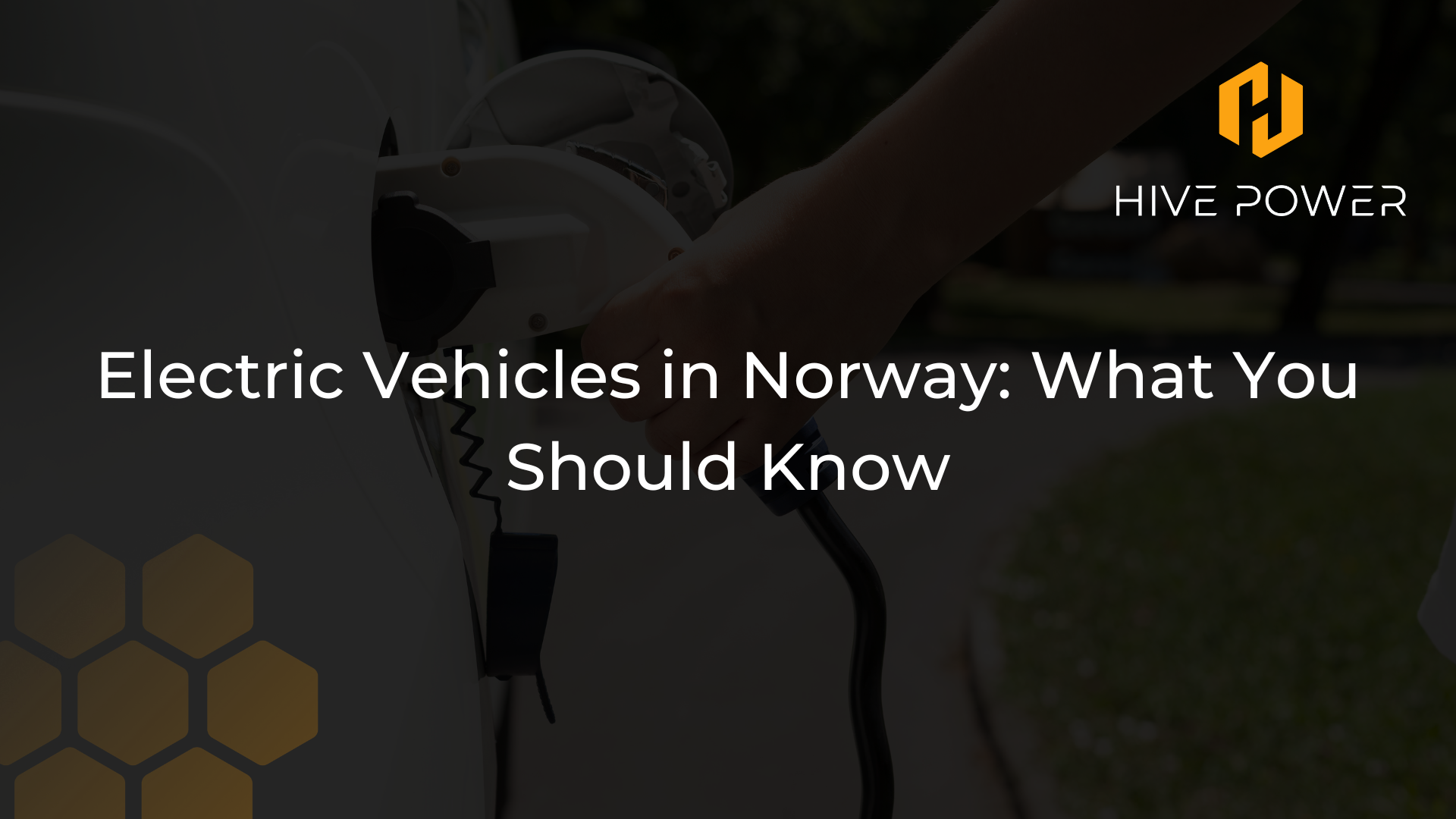 Electric Vehicles in Norway; What You Should Know